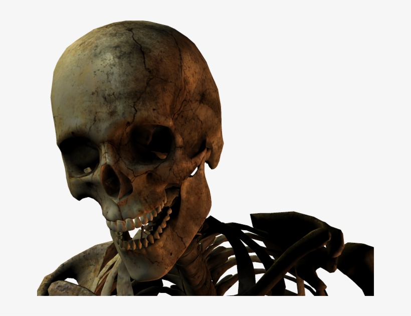 3d Skull Photo - Skull, transparent png