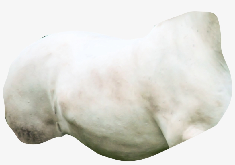 Texture, transparent png