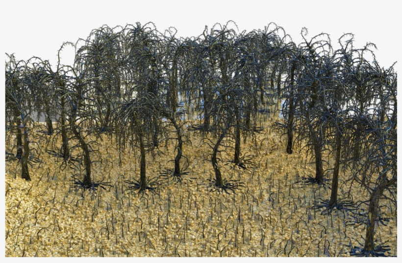 Skull N Bones N Trees - Willow, transparent png