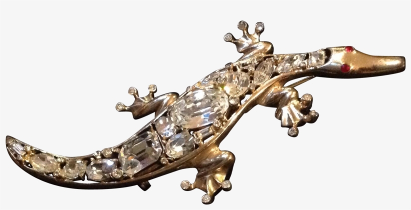 American Crocodile, transparent png