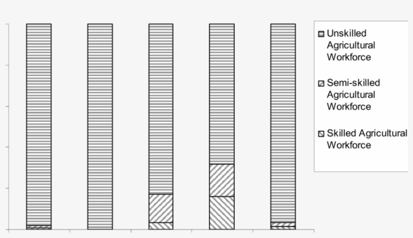 Skills Level Of The Kwazulu Natal Agricultural Work - Monochrome, transparent png