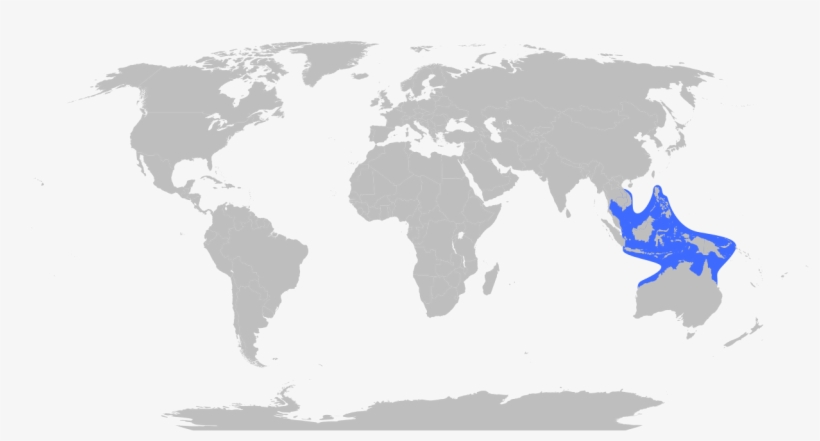 Sea Wasp Or Box Jellyfish Range Silhouette Cameo Map Blue Ringed Octopus Habitat Map 1363x657 Png Download Pngkit