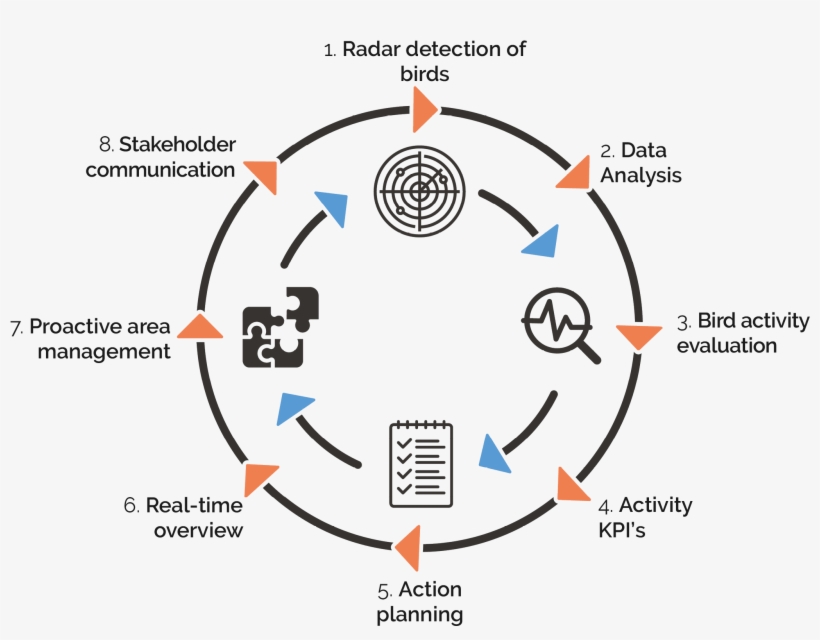 Process Description - Circle, transparent png