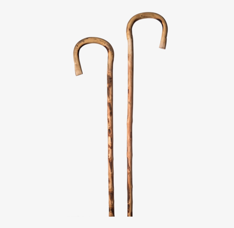 Magura From Natural Wild Olive Wood - Olive Wood Walking Cane, transparent png