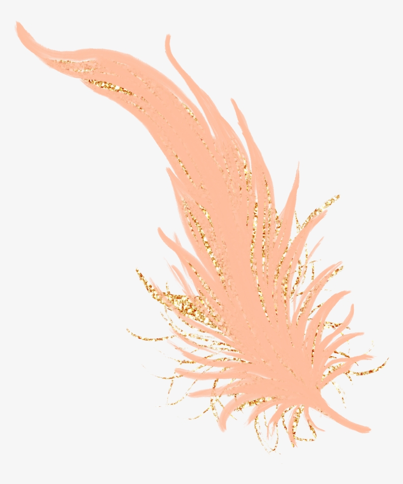 #feathers #feather #pastel #golden #gold #rosegold - Marine Biology, transparent png