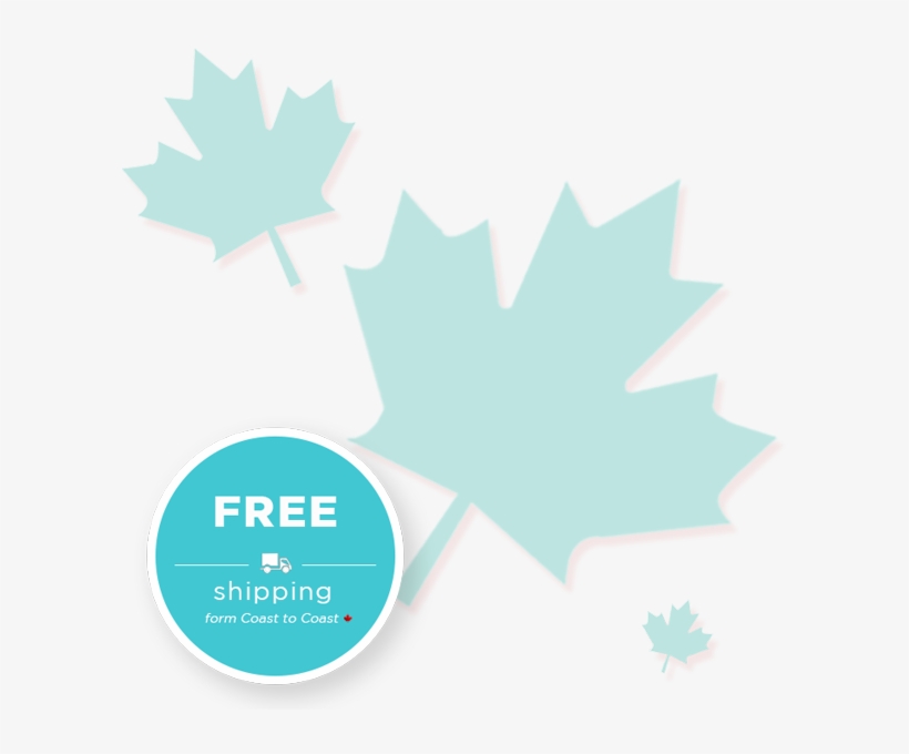 Buy Now - Maple Leaf, transparent png