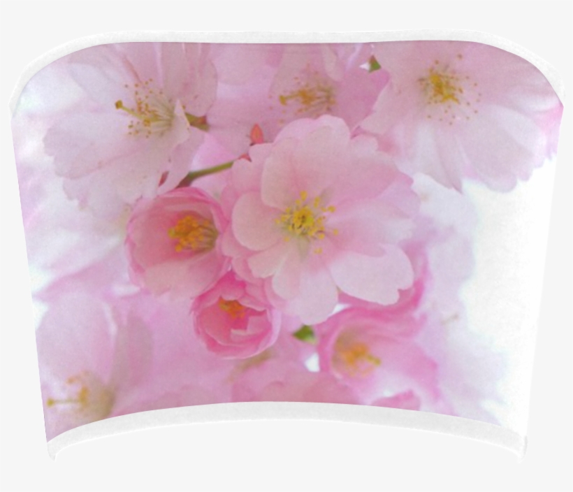 Cherry Blossom, transparent png