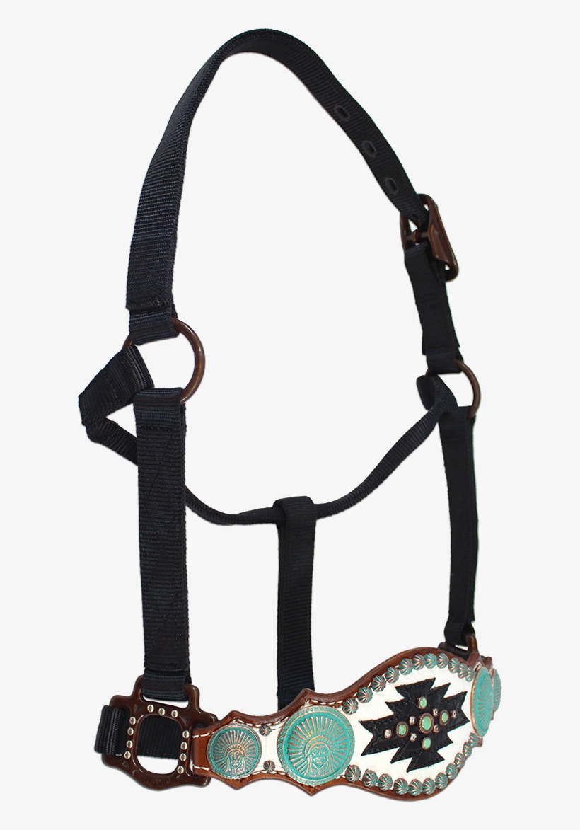Horse Halters, Western Tack, Horse Tack, Show Horses, Halter