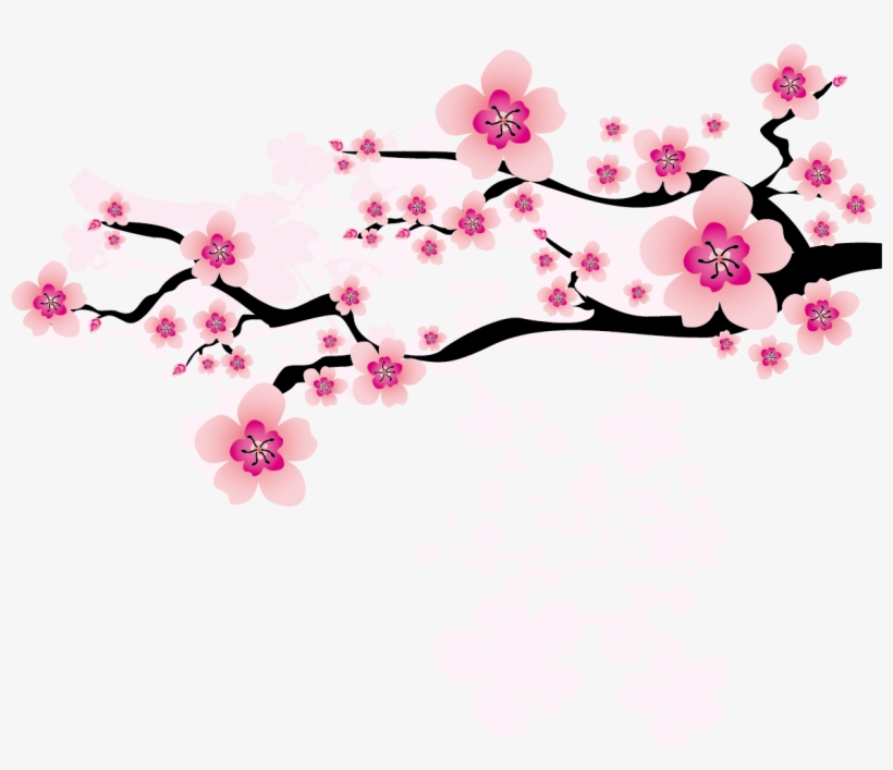 Ume Blossom Clipart Apricot Blossom - Chinese Plum Blossom Clipart, transparent png