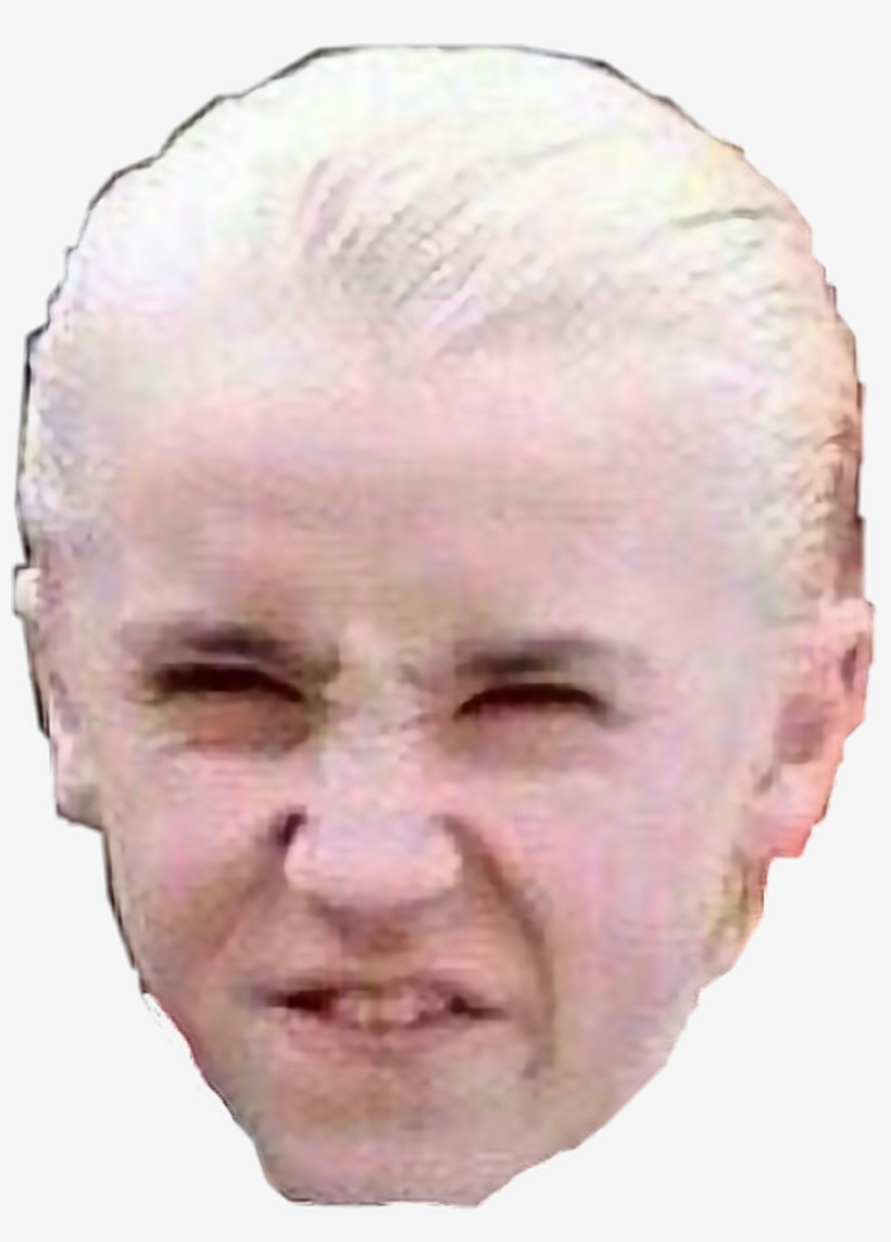 This Needs No Explanation - Harry Potter, transparent png