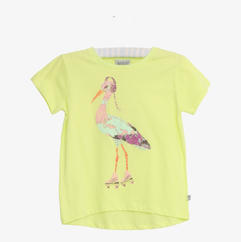 Marabou Stork, transparent png