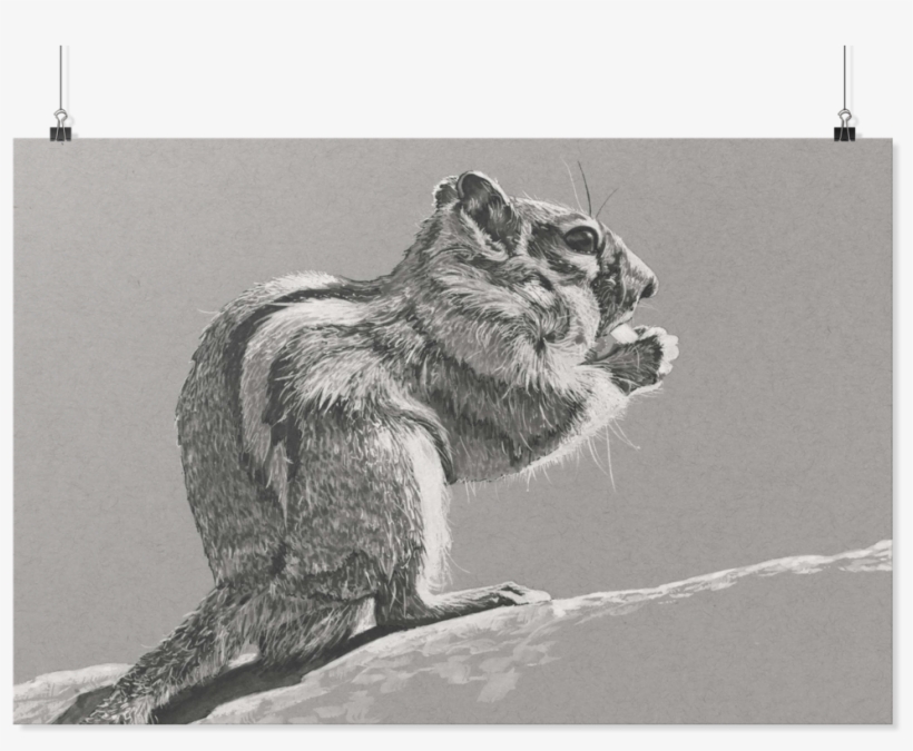 Chipmunk Poster By Yue Zeng - Grizzly Bear, transparent png