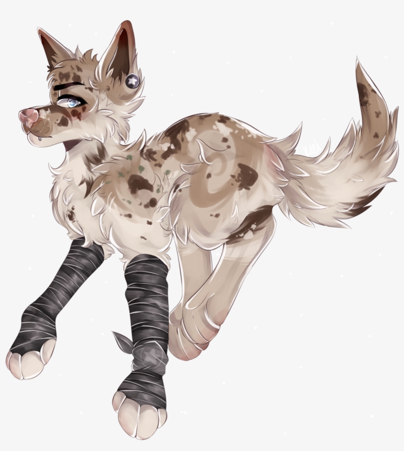 1280 X 1365 6 - Female Furry Paws Drawing, transparent png