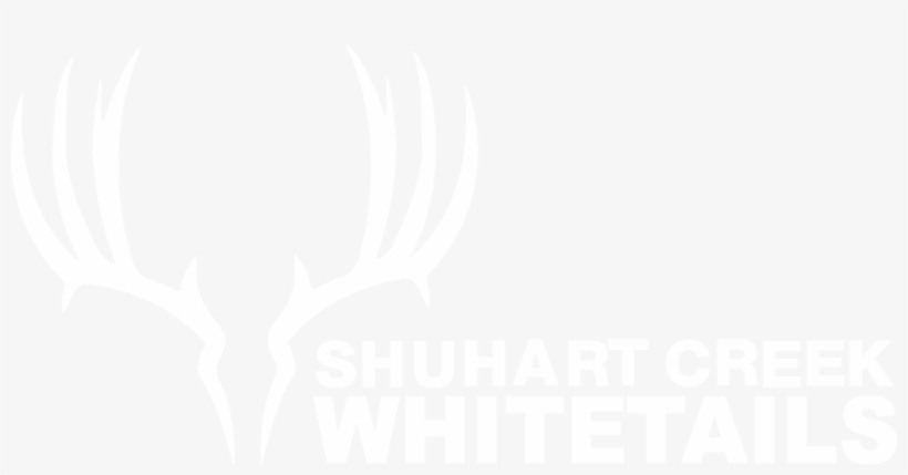 Deer, transparent png