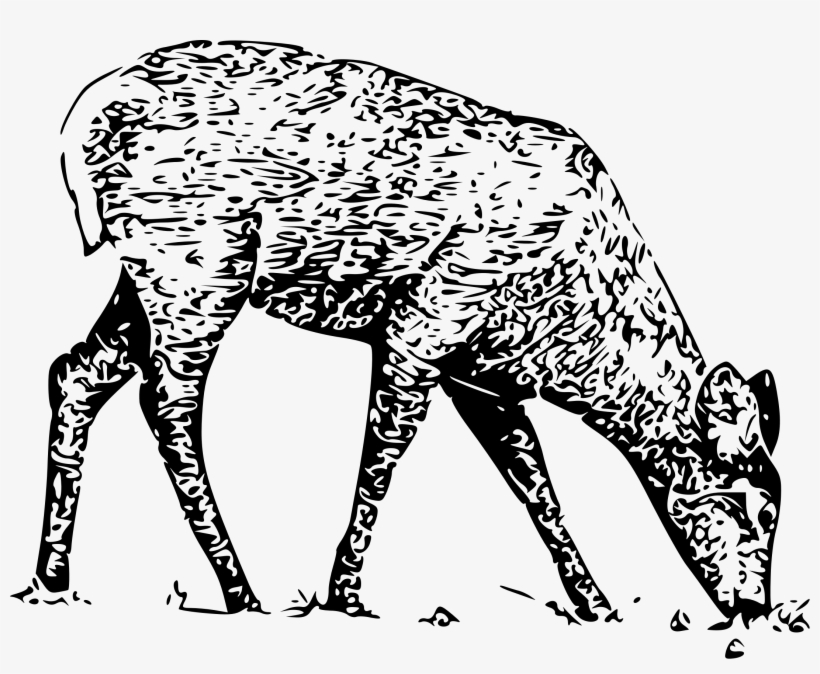 Big Image - White Tailed Deer, transparent png