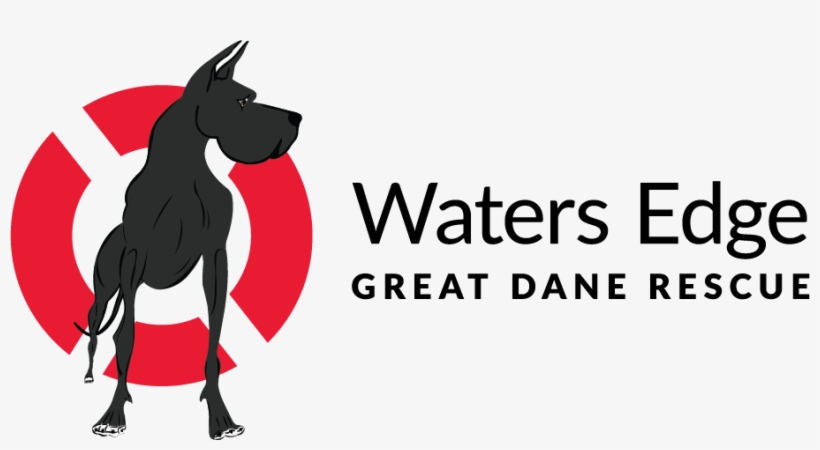 Waters Edge Great Dane Rescue Is Committed To Rescuing - Great Dane, transparent png