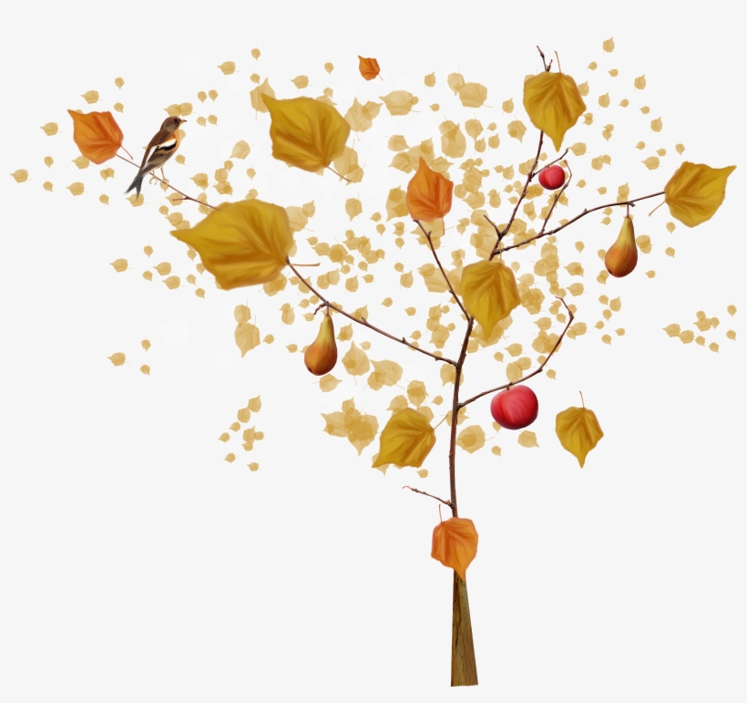 Autumn Tree 4500*3600 Transprent Png Free Download - Clip Art, transparent png