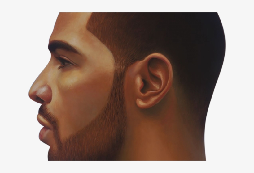 Drake Clipart - Portable Network Graphics, transparent png