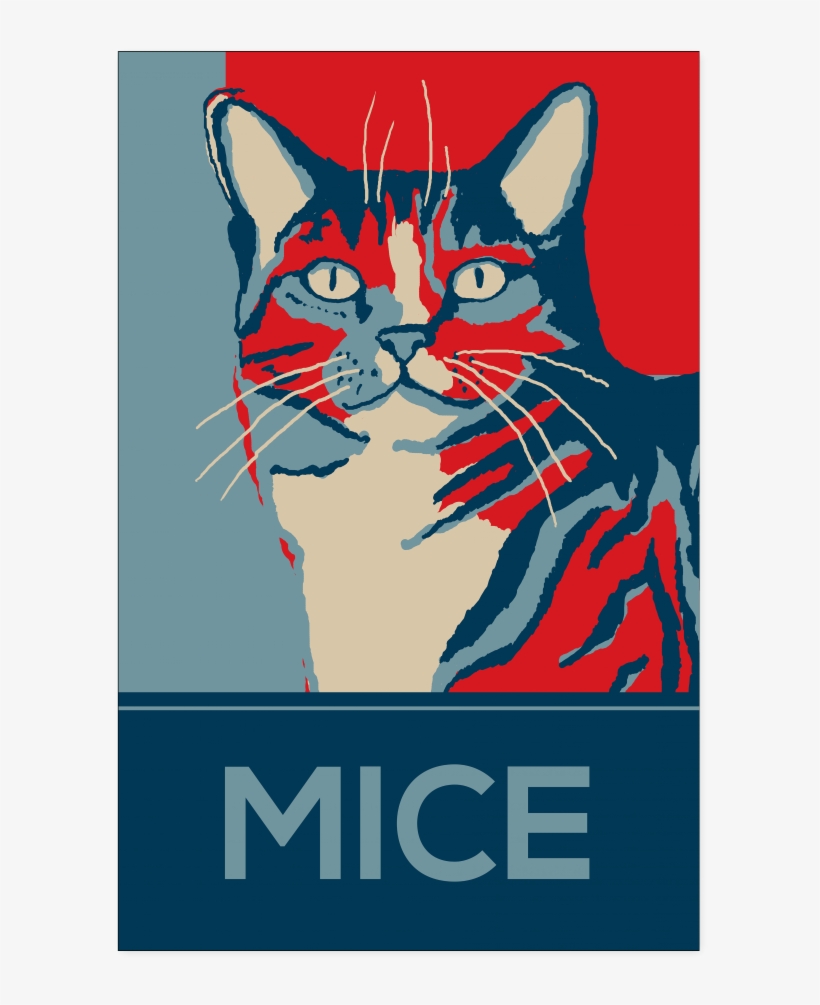 Domestic Short-haired Cat, transparent png