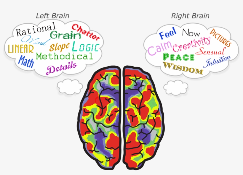 Brex Golf Putt With Both Sides Of Your Brain - Side Of Brain Transparent, transparent png