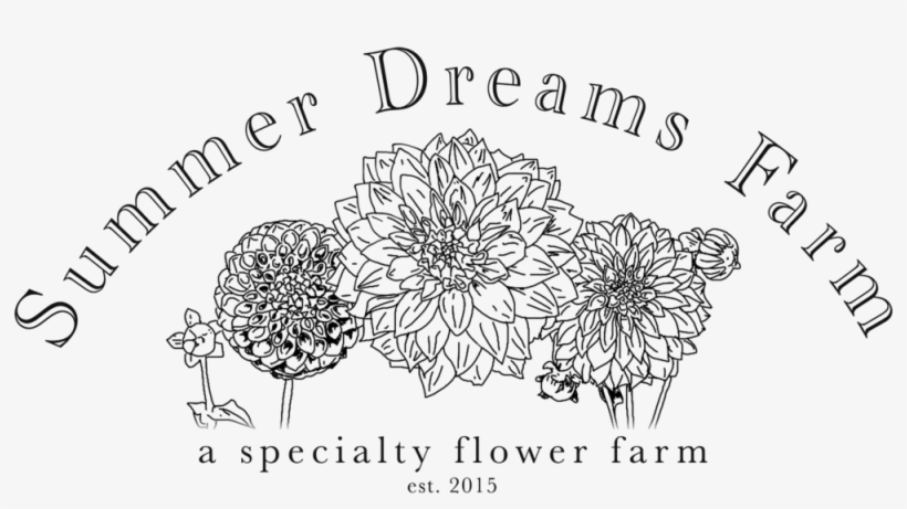 Summer Flowers Png, transparent png