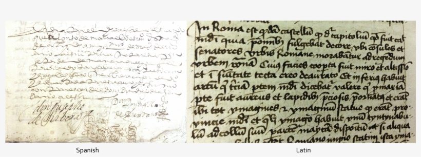 Examples Of What Different Handwritings Can Look Like, transparent png