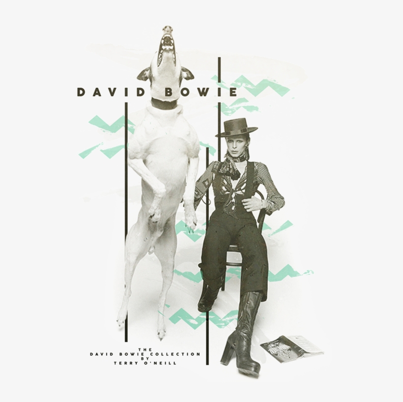 Terry O Neill David Bowie, transparent png