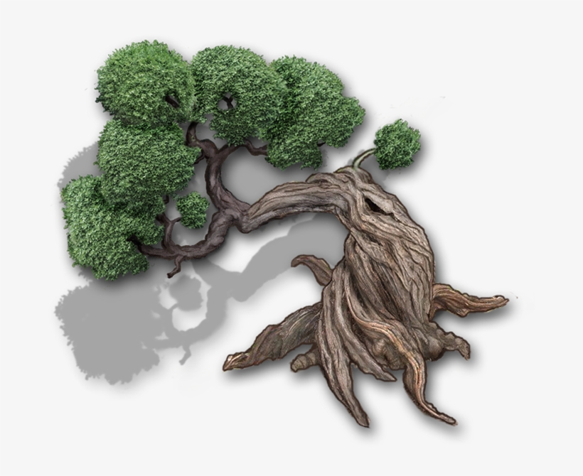 Bonsai Tree Darker Shadow Med - Broccoli, transparent png