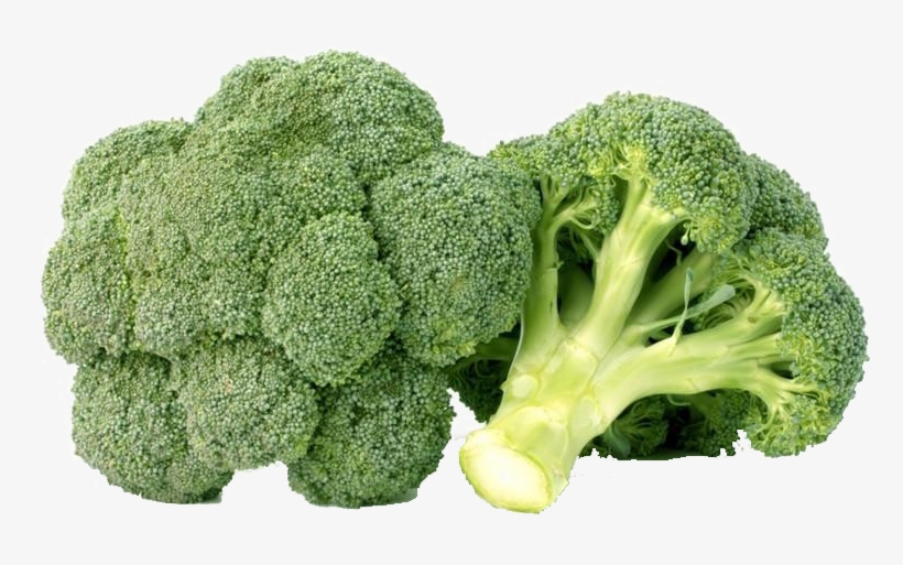 Broccoli, transparent png