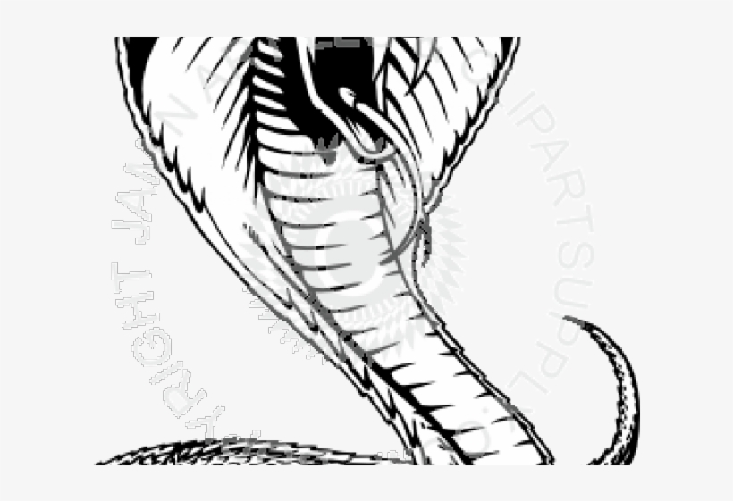 Drawn Snake Viper Snake - Snakes, transparent png