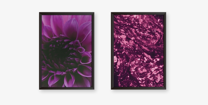 Purple Tulips With Abstract Art Set Of 2 Frames - Dahlia, transparent png
