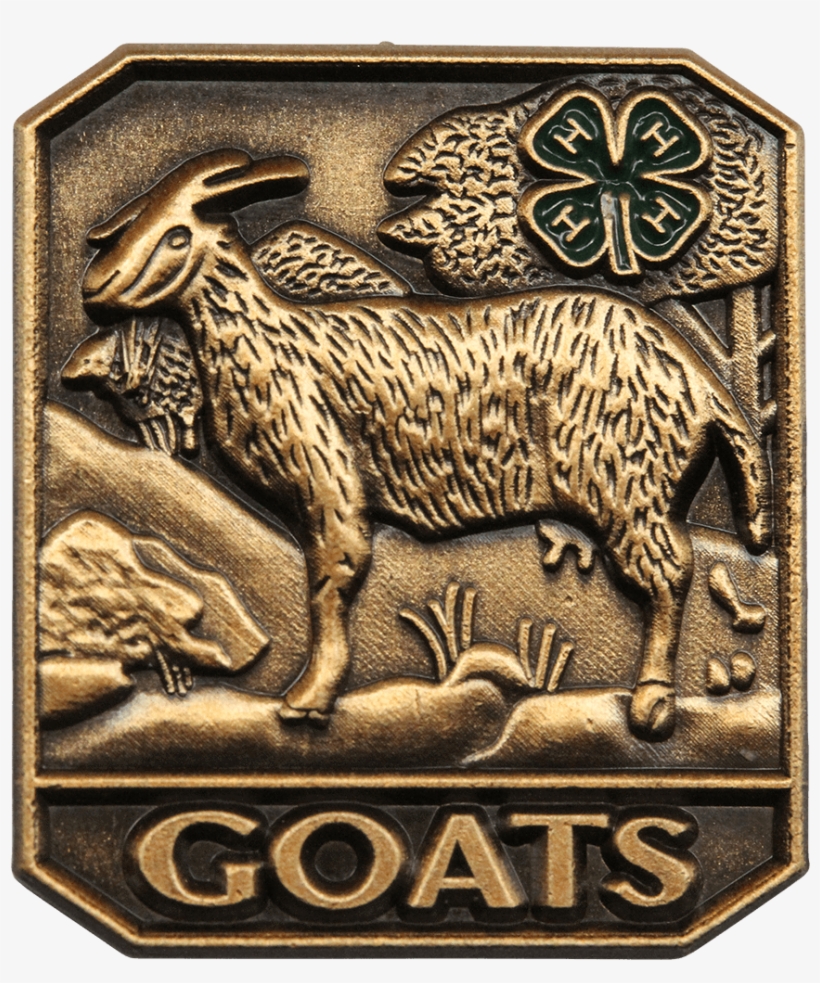 Goats Pin - Goats, transparent png