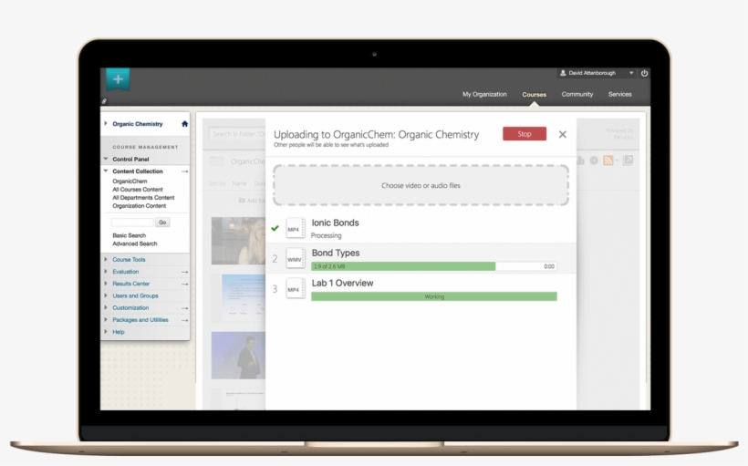Easy Provisioning And Automatic Publishing - Piwik Matomo, transparent png