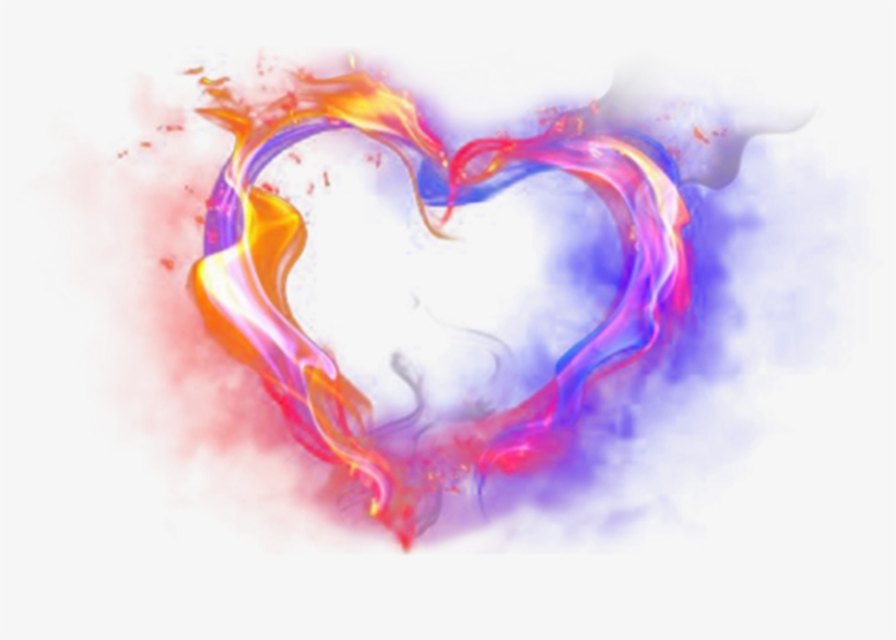 #love #valentinesday #valentine #couple #14thfeb #flower, transparent png