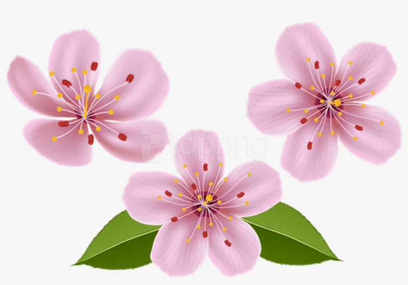 Free Png Download Spring Flowers Png Images Background - Transparent Flower Clip Art, transparent png