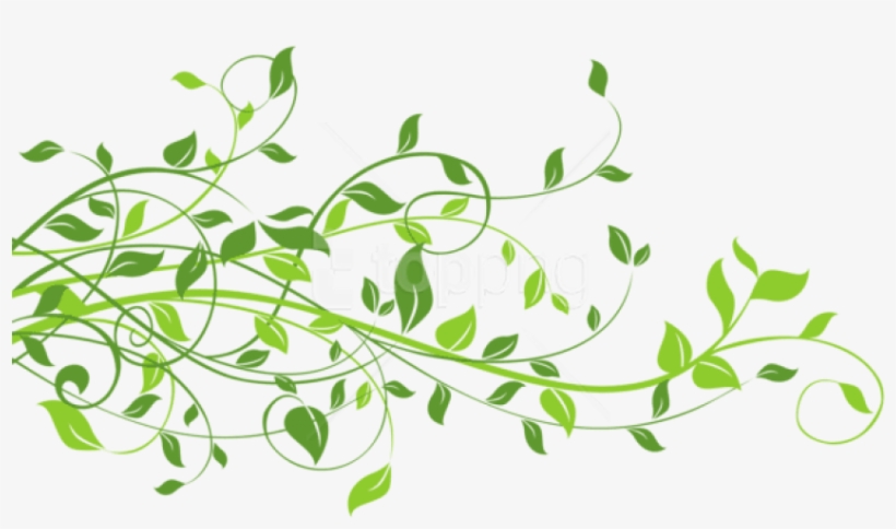 Free Png Download Spring Decor With Leaves Png Images - Transparent Leaf Png, transparent png