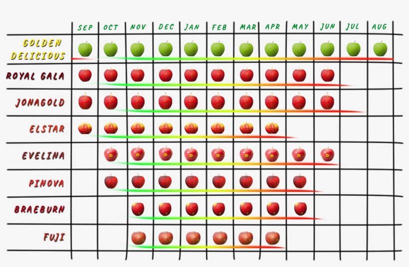 Kontakt - Ethiopia Worksheets, transparent png