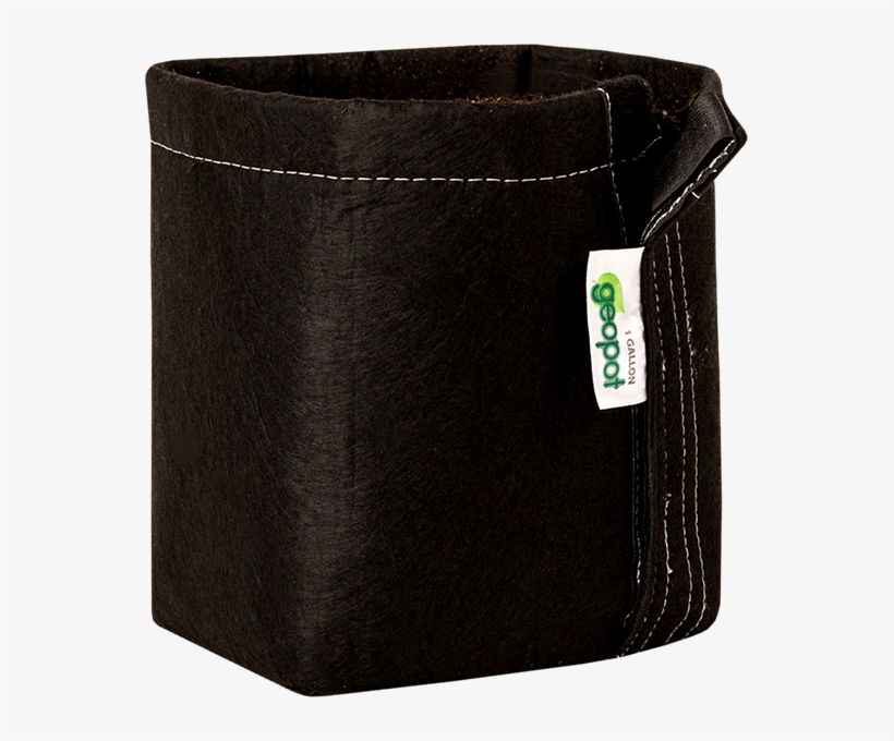 Wallet, transparent png