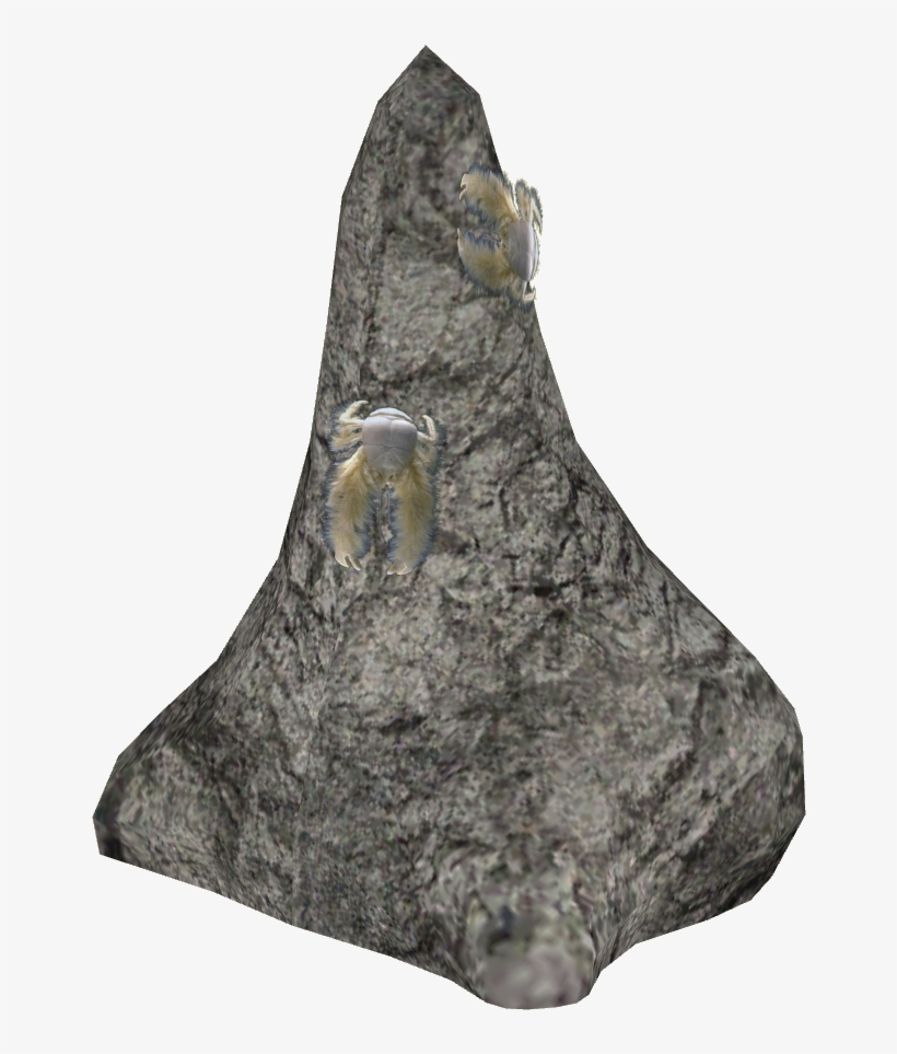 Yeti Crab Rock - Artifact, transparent png