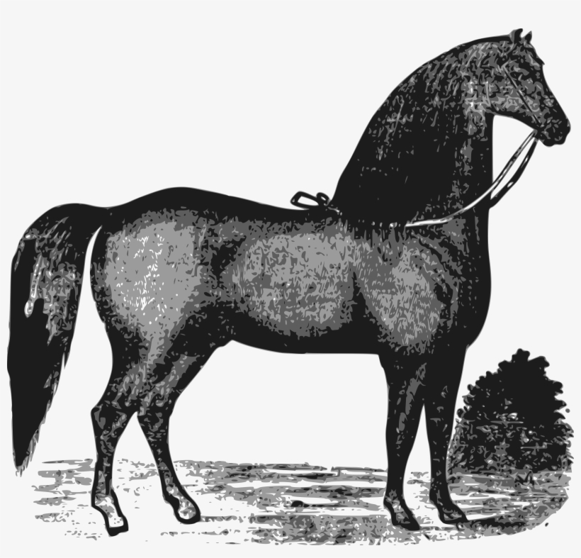 This Free Icons Png Design Of Elegant Horse, transparent png