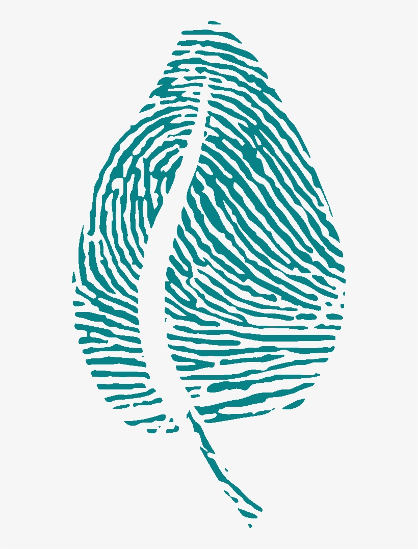 Illustration, transparent png
