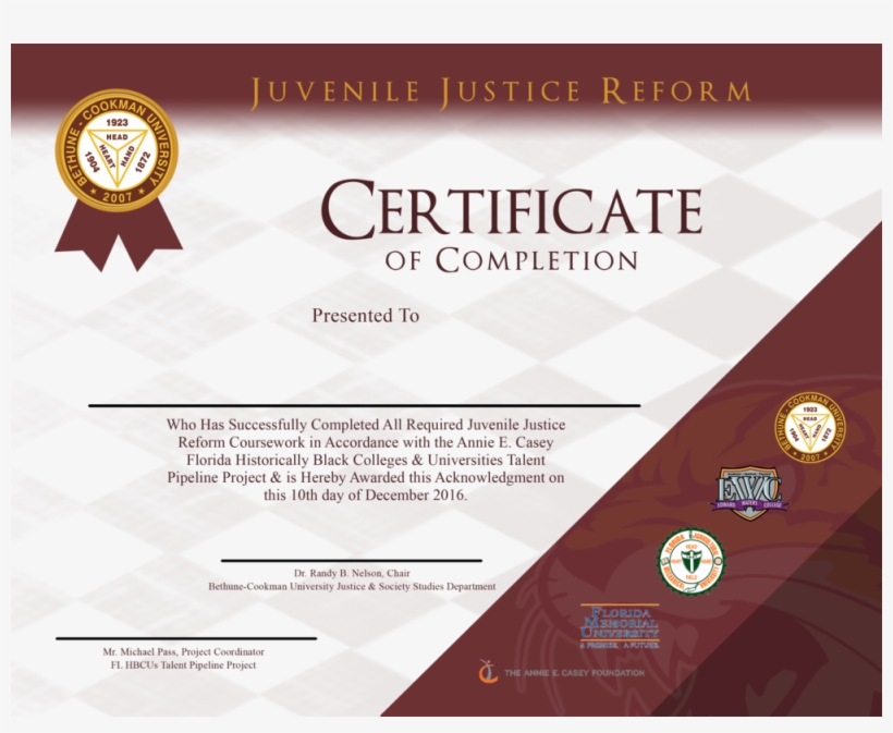 Juvenile Justice Reform Certificate - Egypt Central Egypt Central, transparent png