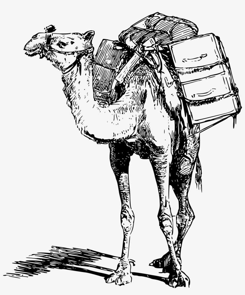This Free Icons Png Design Of Laden Camel, transparent png