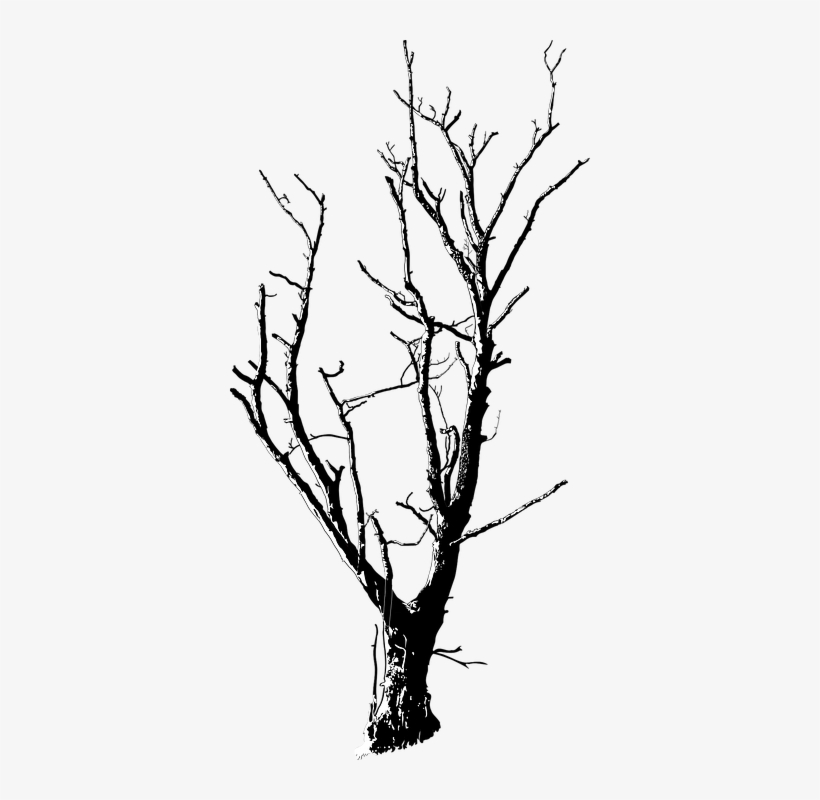 Raised Hands Png - Dead Tree Black White, transparent png