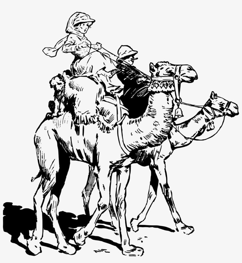 This Free Icons Png Design Of Lady On Camel, transparent png