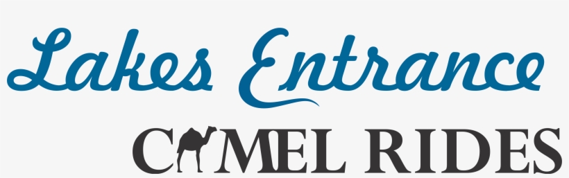 Lakes Entrance Camel Rides Logo - Would You Rule: Legal Puzzles, Brainteasers,, transparent png