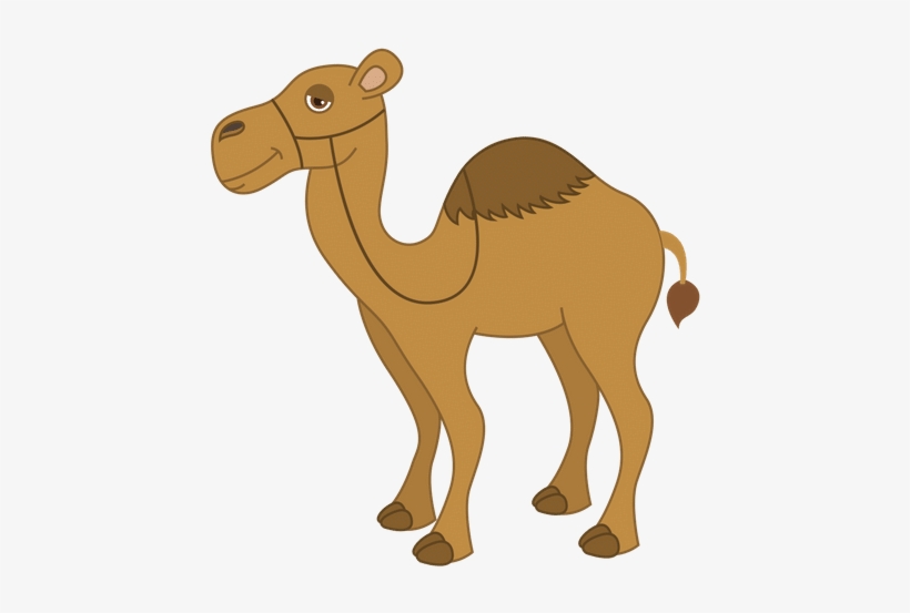 Camel - Dictados Para Primaria Cortos, transparent png