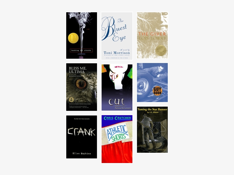 Banned Or Challenged Books - Bless Me Ultima By Ya Rudolfo, transparent png