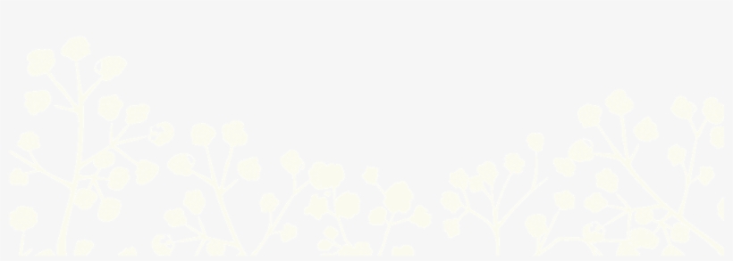Baby Breath Bottom Transparent Thin, transparent png