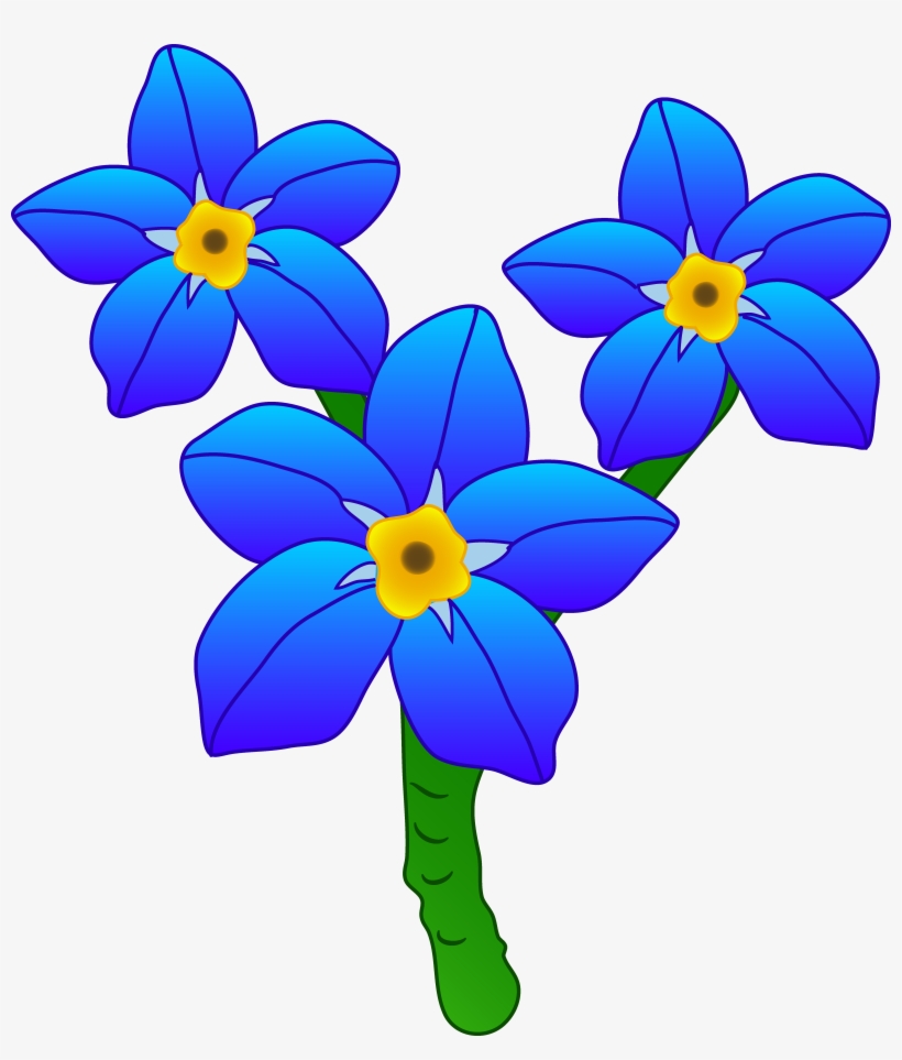 Three Forget Me Not Flowers - Cartoon Forget Me Not, transparent png